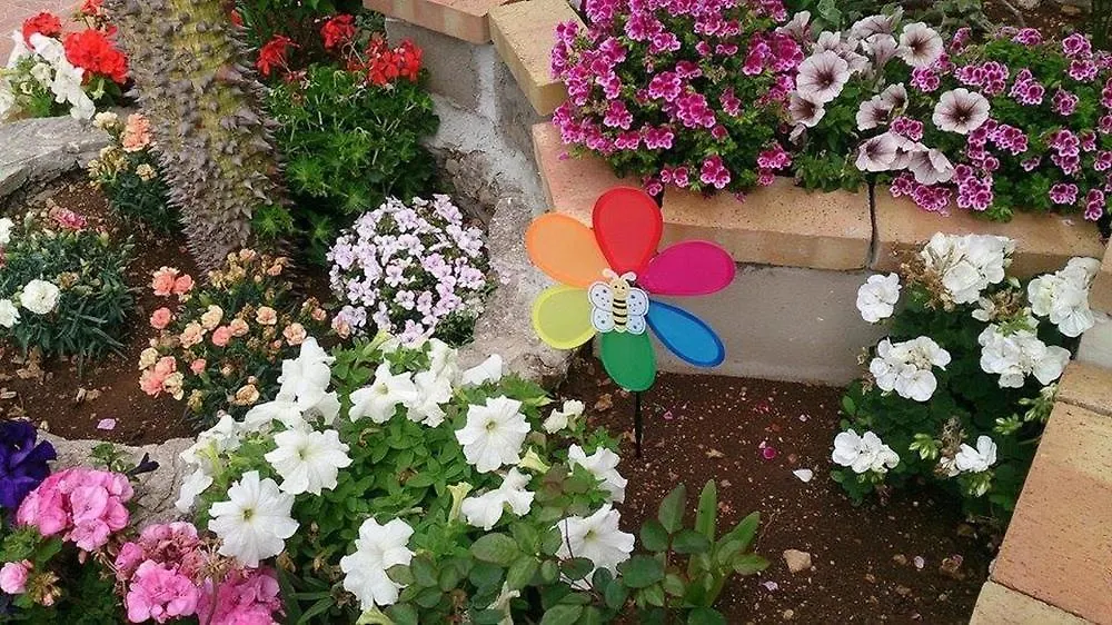 Bed and Breakfast Il Mirto E La Rosa Arenella  Bed & Breakfast